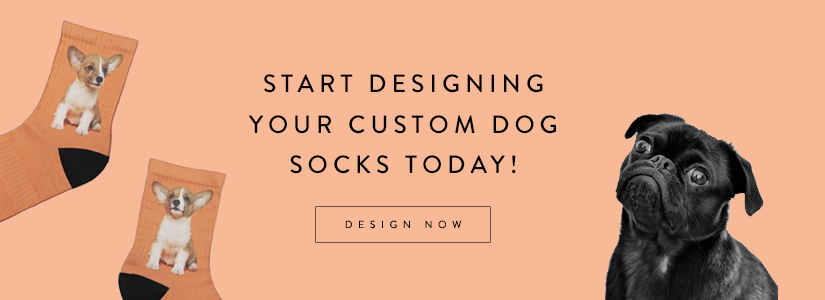 design dog socks